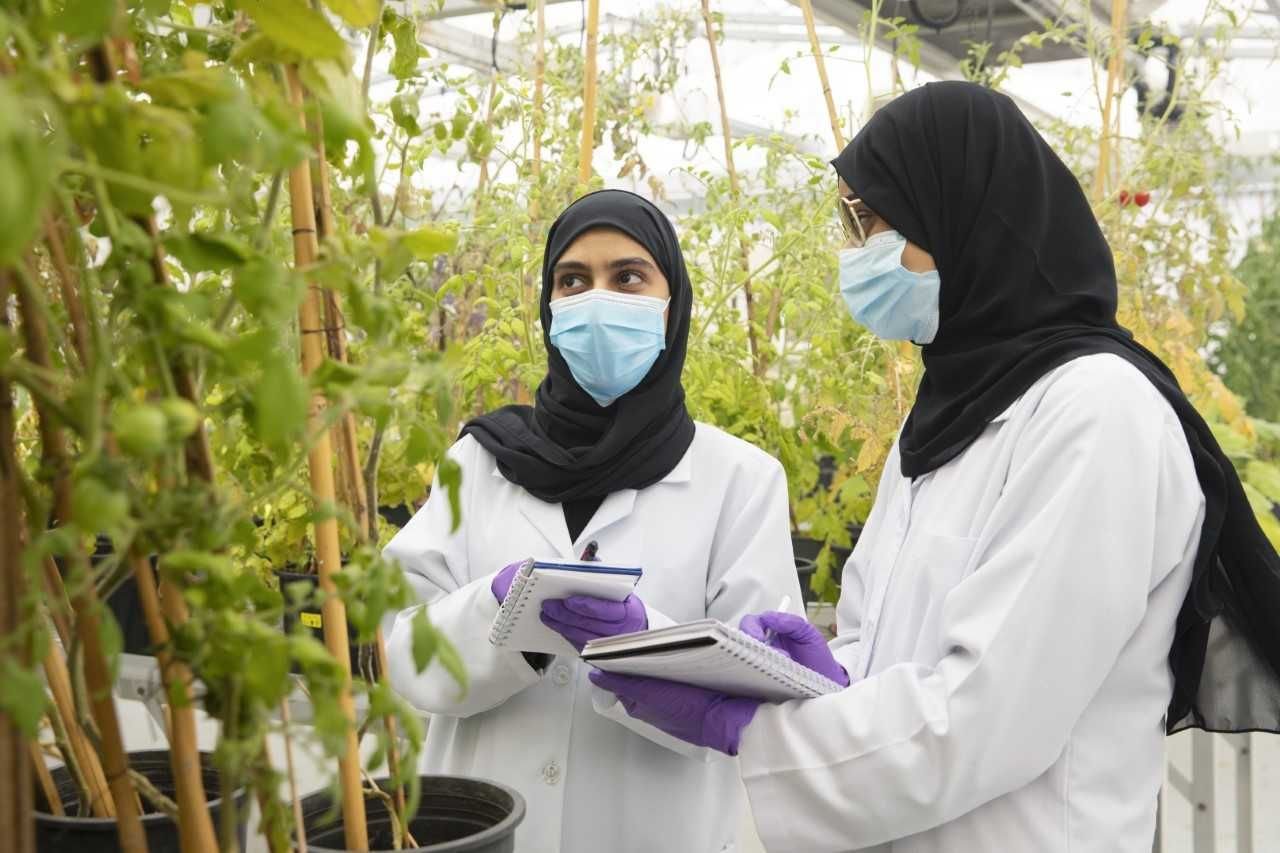 جامعة الإمارات تمول 189 بحثا صيفيا لطلبتها 1 جامعة الإمارات تمول 189 بحثا صيفيا لطلبتها