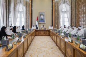 برئاسة منصور بن زايد.. "الوزاري للتنمية" يستعرض مشاريع ومبادرات وطنية لتطوير العمل الحكومي