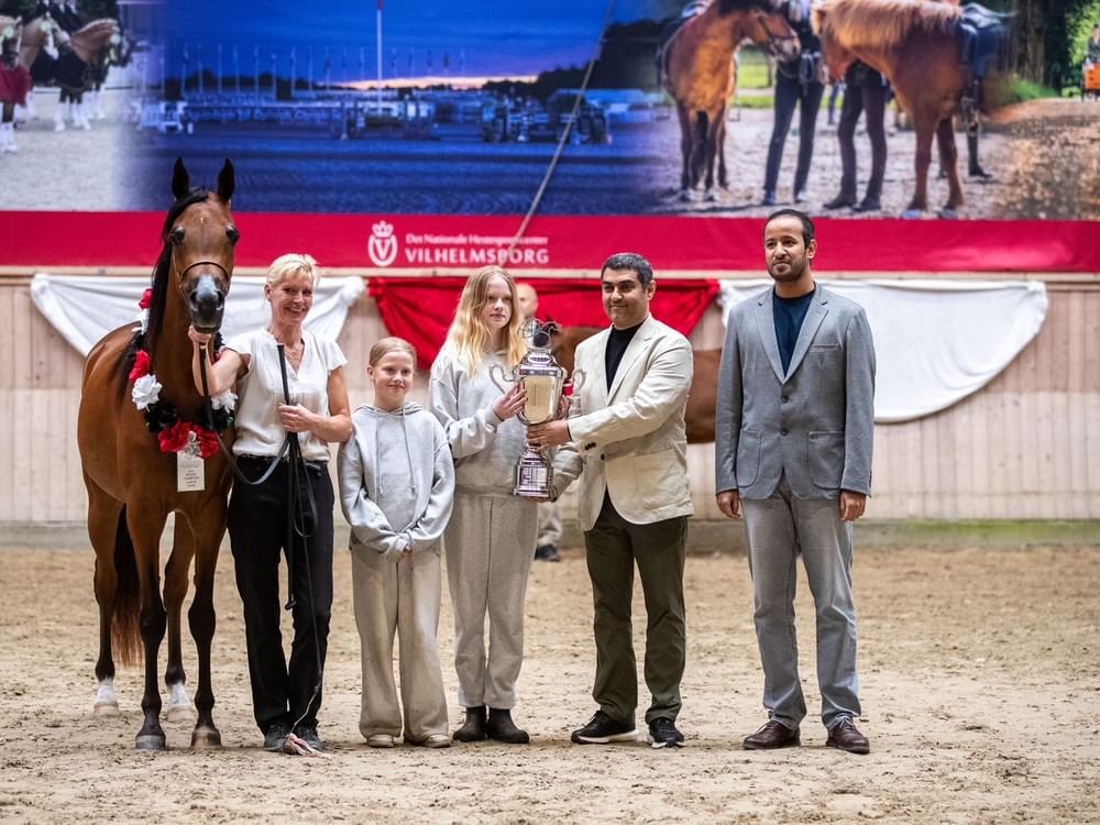 برعاية منصور بن زايد.. اختتام البطولة الـ 5 لكأس الإمارات العالمي لجمال الخيل العربية بالدنمارك 1 برعاية منصور بن زايد.. اختتام البطولة الـ 5 لكأس الإمارات العالمي لجمال الخيل العربية بالدنمارك