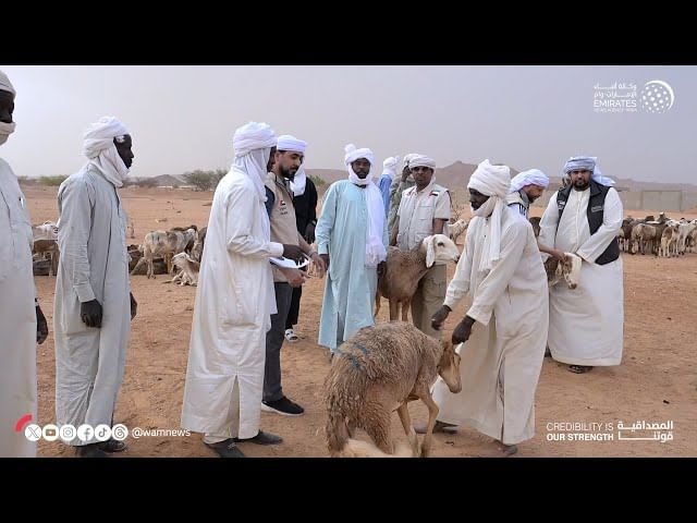 الهلال الأحمر الإماراتي ينفذ مشروع الأضاحي في مدينة أم جرس التشادية 1 الهلال الأحمر الإماراتي ينفذ مشروع الأضاحي في مدينة أم جرس التشادية