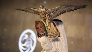 طرح تذاكر معرض أبوظبي الدولي للصيد والفروسية