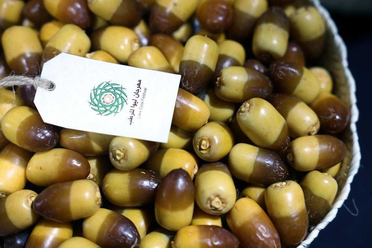 وفد من السفراء المعتمدين لدى الدولة يزورون مهرجان ليوا للرطب بدورته الـ20 1 وفد من السفراء المعتمدين لدى الدولة يزورون مهرجان ليوا للرطب بدورته الـ20