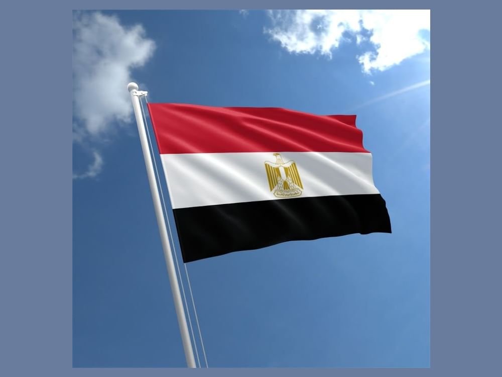الحكومة المصرية الجديدة تنال ثقة البرلمان 1 الحكومة المصرية الجديدة تنال ثقة البرلمان