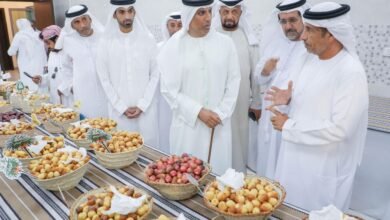 مهرجان الذيد للرطب يختتم فعالياته.. ويتوج 130 فائزًا من نخبة المزارعين وملاك النخيل