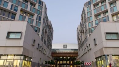 مركز الفنون في جامعة نيويورك أبوظبي يطلق مبادرة "نمو"