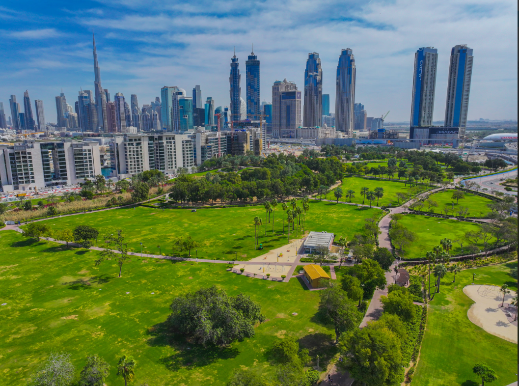 16.3 مليون زائر لحدائق ومرافق بلدية دبي خلال النصف الأول من 2024 1 16.3 مليون زائر لحدائق ومرافق بلدية دبي خلال النصف الأول من 2024
