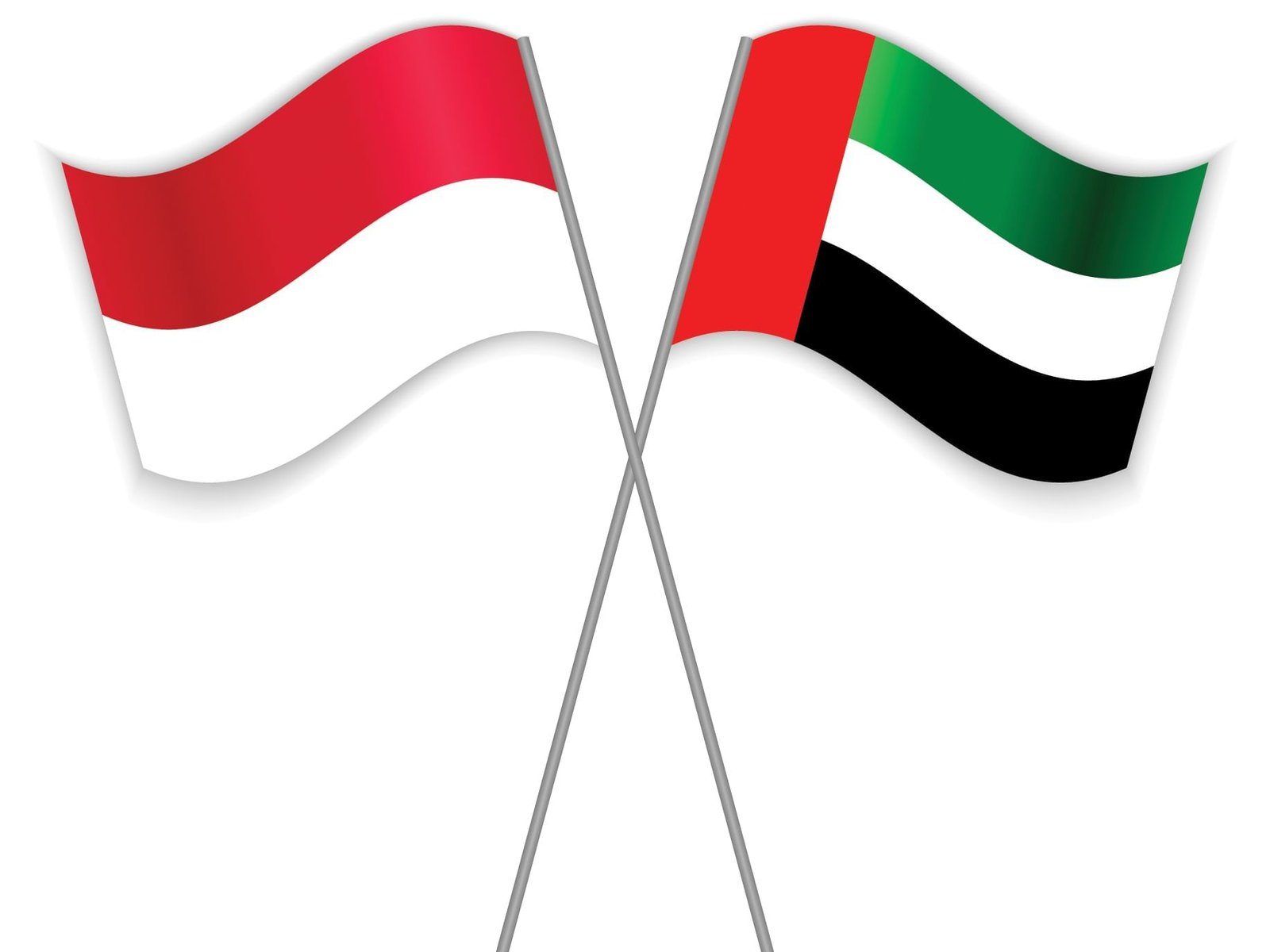 الحسيني: اتفاقية "إدارة المالية" بين الإمارات وإندونيسيا تدعم التنمية المستدامة في البلدين
