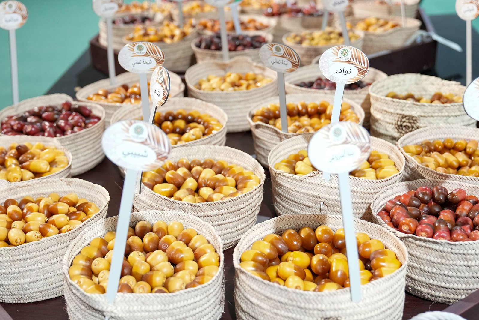 نخبة الرطب تسجل 82 صنفًا من 21 مزرعة في "ليوا للرطب" 1 نخبة الرطب تسجل 82 صنفًا من 21 مزرعة في "ليوا للرطب"