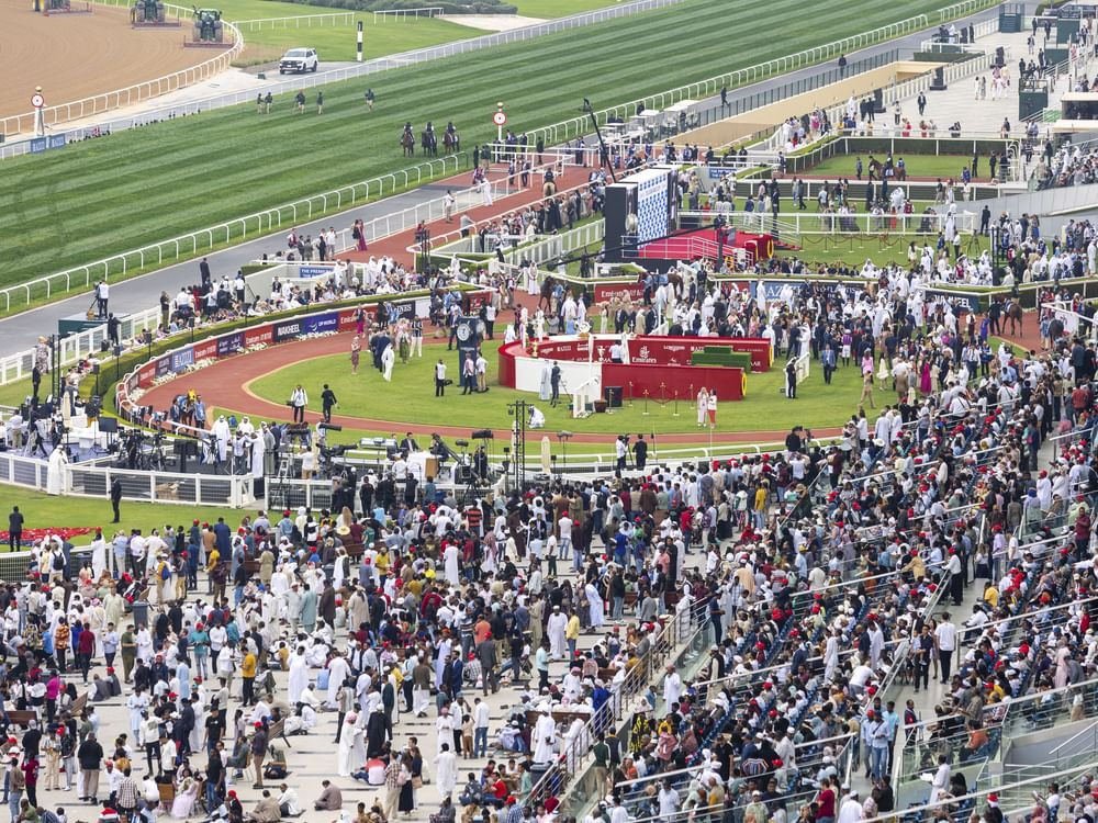 انطلاق النسخة الجديدة من كأس دبي العالمي للخيول 5 أبريل المقبل 1 انطلاق النسخة الجديدة من كأس دبي العالمي للخيول 5 أبريل المقبل