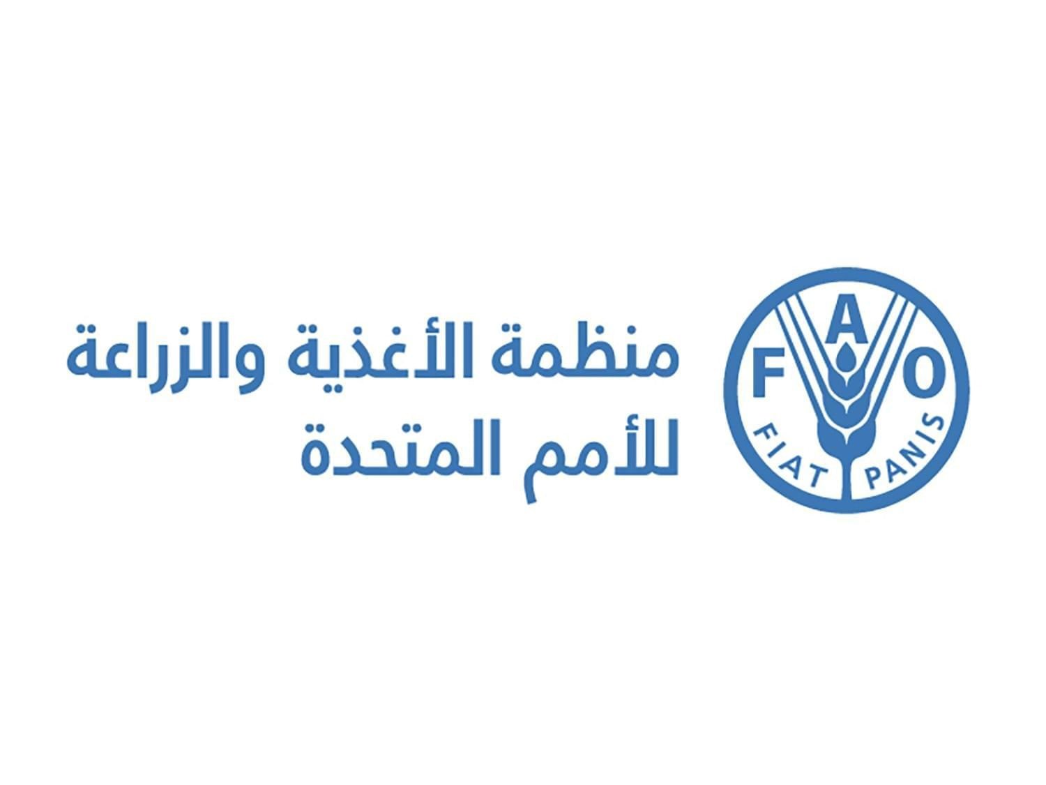 "الفاو" تطالب بالإسراع في المساعدات الغذائية للسودان 1 "الفاو" تطالب بالإسراع في المساعدات الغذائية للسودان