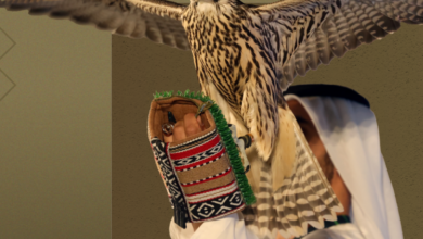 النسخة الـ21 من معرض أبوظبي الدولي للصيد والفروسية تسجِّل مشاركة دولية قياسية لتصبح النسخة الأكبر في تاريخ المعرض