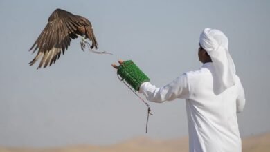 "أبوظبي للتراث" تشارك في معرض أبوظبي الدولي للصيد والفروسية