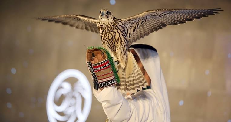 معرض أبوظبي الدولي للصيد والفروسية يحتفي بإرث الصقارة 1 معرض أبوظبي الدولي للصيد والفروسية يحتفي بإرث الصقارة