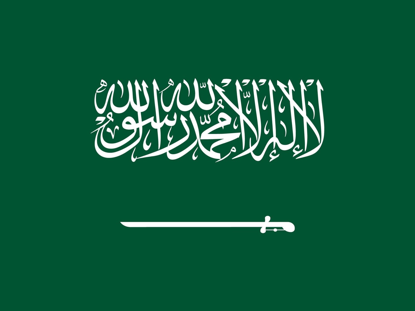 السعودية تستضيف منتدى الأمم المتحدة العالمي السادس للبيانات 2026 1 السعودية تستضيف منتدى الأمم المتحدة العالمي السادس للبيانات 2026
