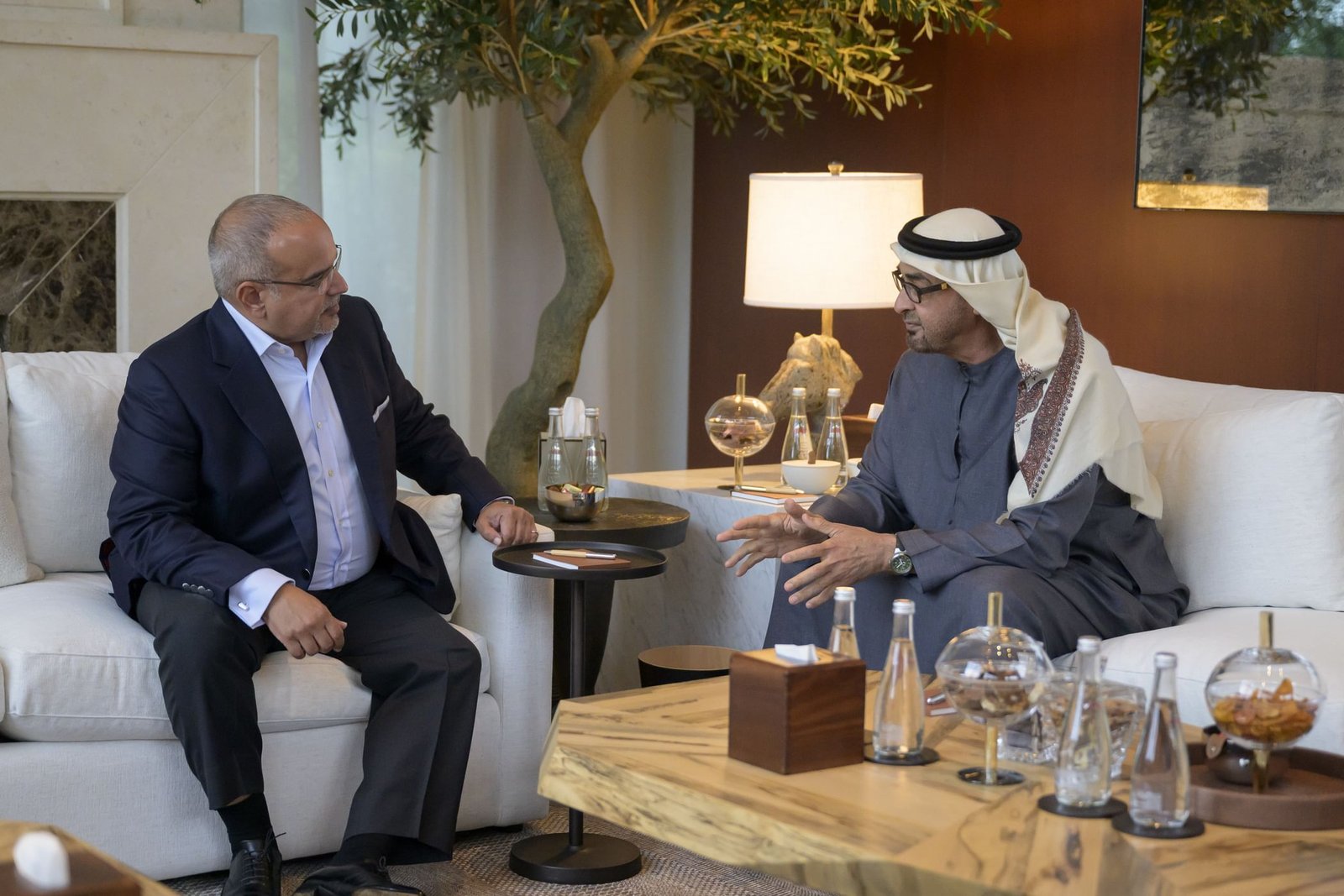 رئيس الدولة يستقبل ولي عهد البحرين 1 رئيس الدولة يستقبل ولي عهد البحرين