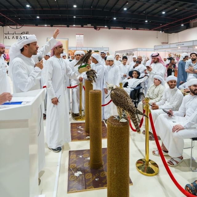 مزاد الصقور وسباق الهجن يستقطبان آلاف الزوار ضمن معرض الأصايل 1 مزاد الصقور وسباق الهجن يستقطبان آلاف الزوار ضمن معرض الأصايل