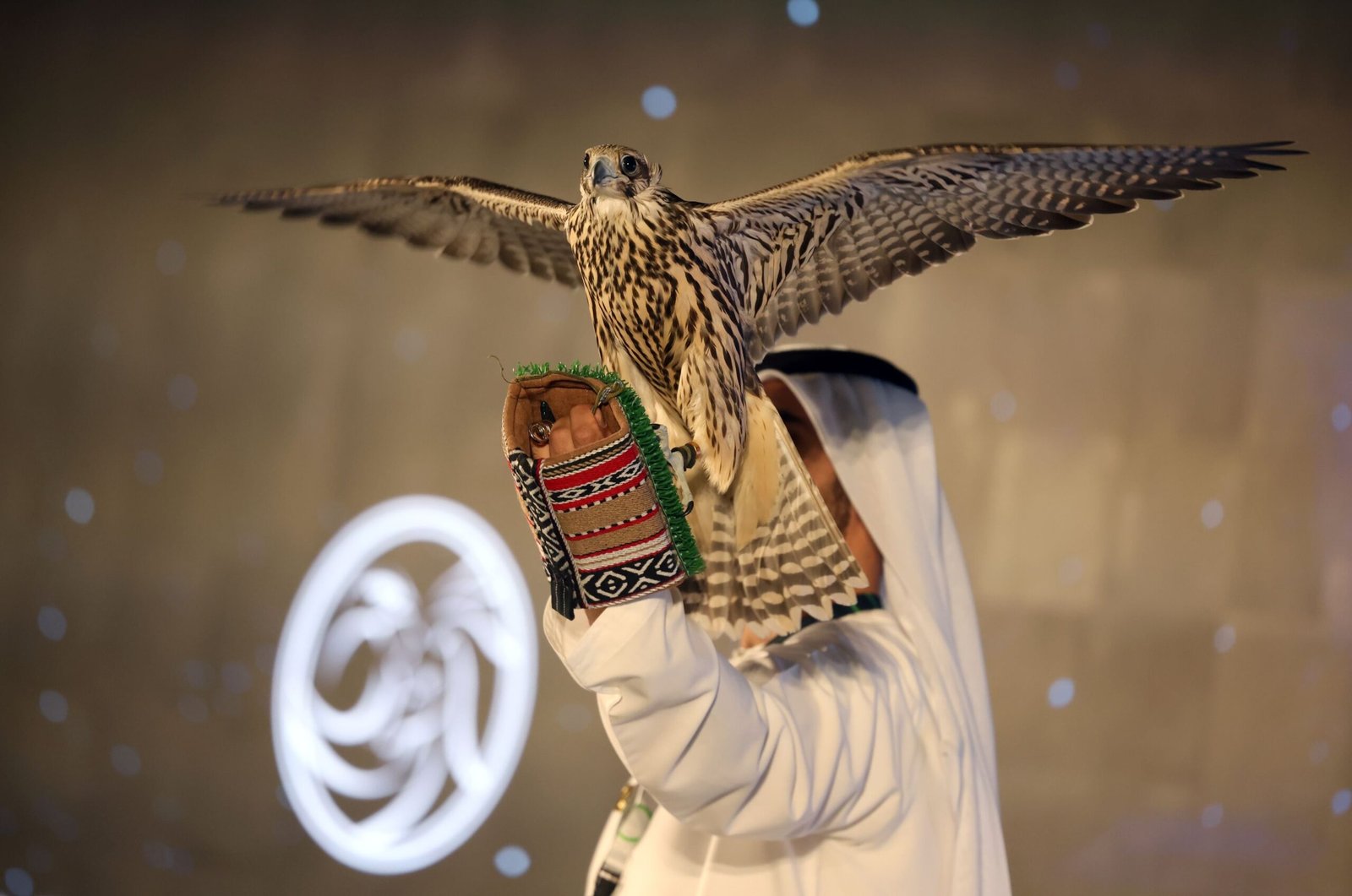 "أبوظبي للصيد والفروسية".. عقد ثالث من النجاحات ورؤية مبتكرة لاستدامة التراث 1 "أبوظبي للصيد والفروسية".. عقد ثالث من النجاحات ورؤية مبتكرة لاستدامة التراث