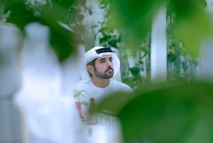 محمد بن راشد يترأس اجتماعاً لمجلس الوزراء في منطقة المرموم بدبي