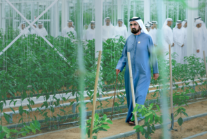 محمد بن راشد يترأس اجتماعاً لمجلس الوزراء في منطقة المرموم بدبي