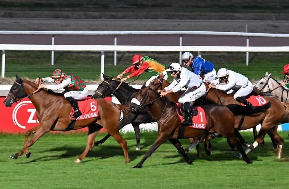 نخبة الخيول تتنافس على كأس الوثبة في فرنسا غدا 1 نخبة الخيول تتنافس على كأس الوثبة في فرنسا غدا