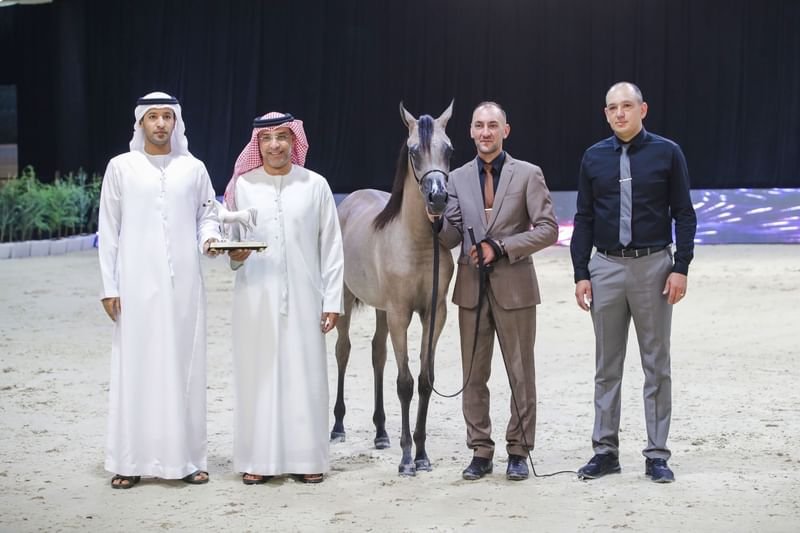 انطلاق منافسات بطولة الإمارات الوطنية لجمال الخيل العربية في أبوظبي 1 انطلاق منافسات بطولة الإمارات الوطنية لجمال الخيل العربية في أبوظبي