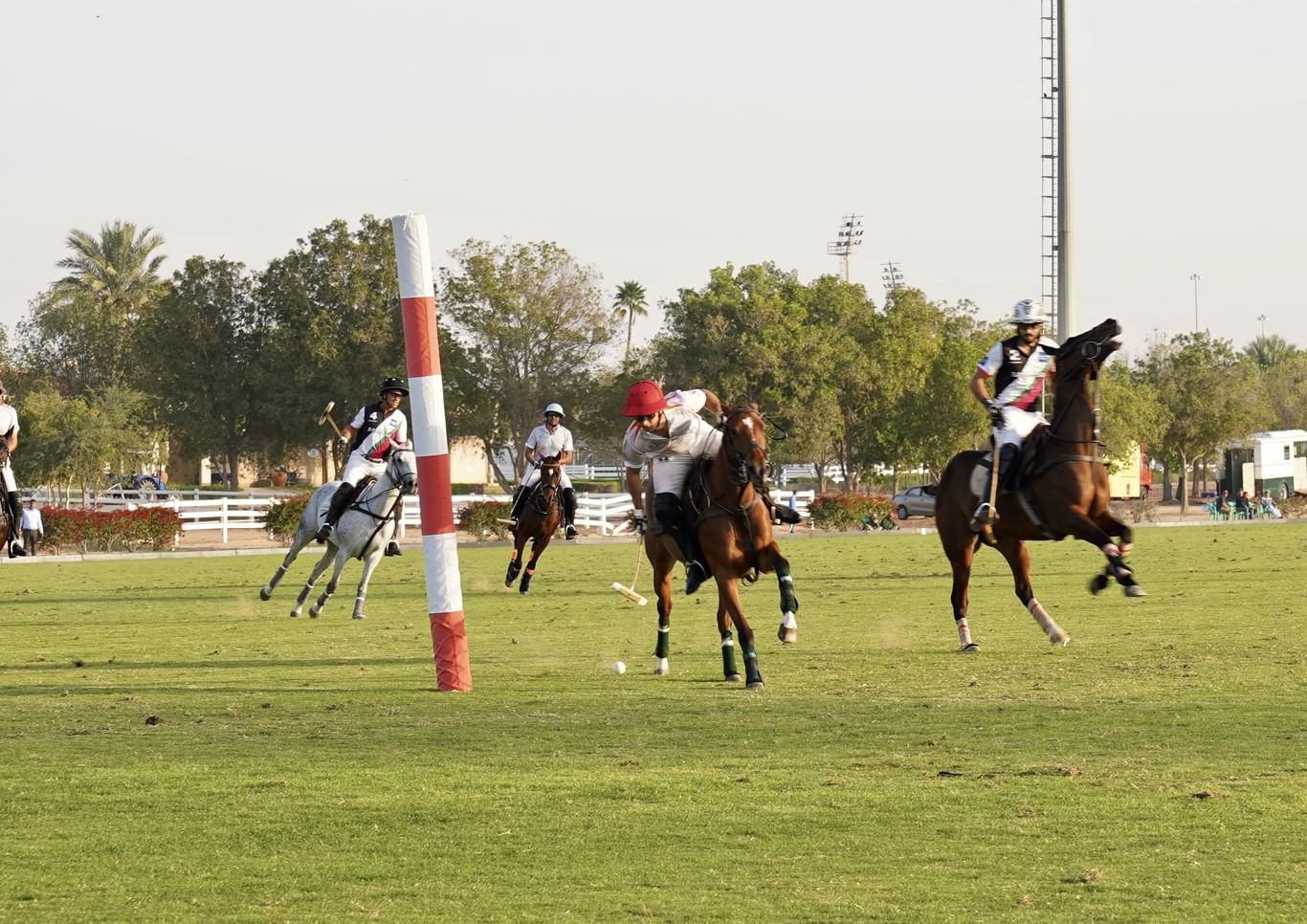 مهرجان بينك بولو الرياضي الخيري يقام 9 نوفمبر 1 مهرجان بينك بولو الرياضي الخيري يقام 9 نوفمبر