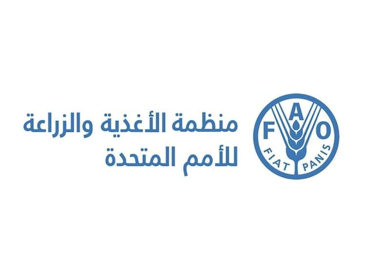 " فاو": 733 مليون شخص حول العالم يعانون من الجوع 1 " فاو": 733 مليون شخص حول العالم يعانون من الجوع