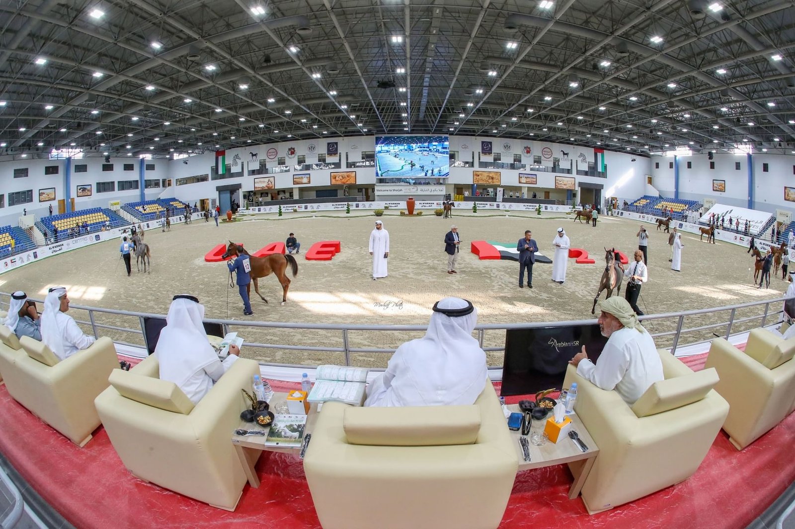 مهرجان الشارقة للجواد العربي ينطلق غدا 1 مهرجان الشارقة للجواد العربي ينطلق غدا