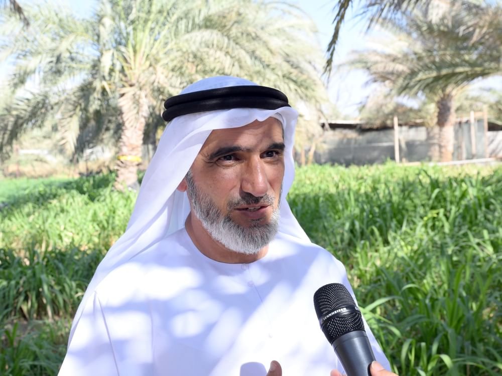 عبد الرحمن الشامسي صاحب مزرعة "سوينج فش": القيادة الرشيدة تشجع على تبني ممارسات زراعية مستدامة 1 عبد الرحمن الشامسي صاحب مزرعة "سوينج فش": القيادة الرشيدة تشجع على تبني ممارسات زراعية مستدامة