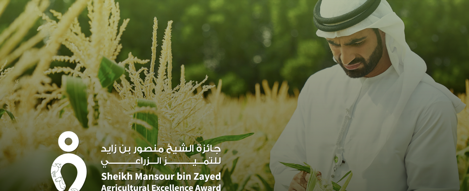 النسخة الثالثة من جائزة الشيخ منصور بن زايد للتميز الزراعي تشارك في مهرجان الشيخ زايد في الوثبة 1 النسخة الثالثة من جائزة الشيخ منصور بن زايد للتميز الزراعي تشارك في مهرجان الشيخ زايد في الوثبة