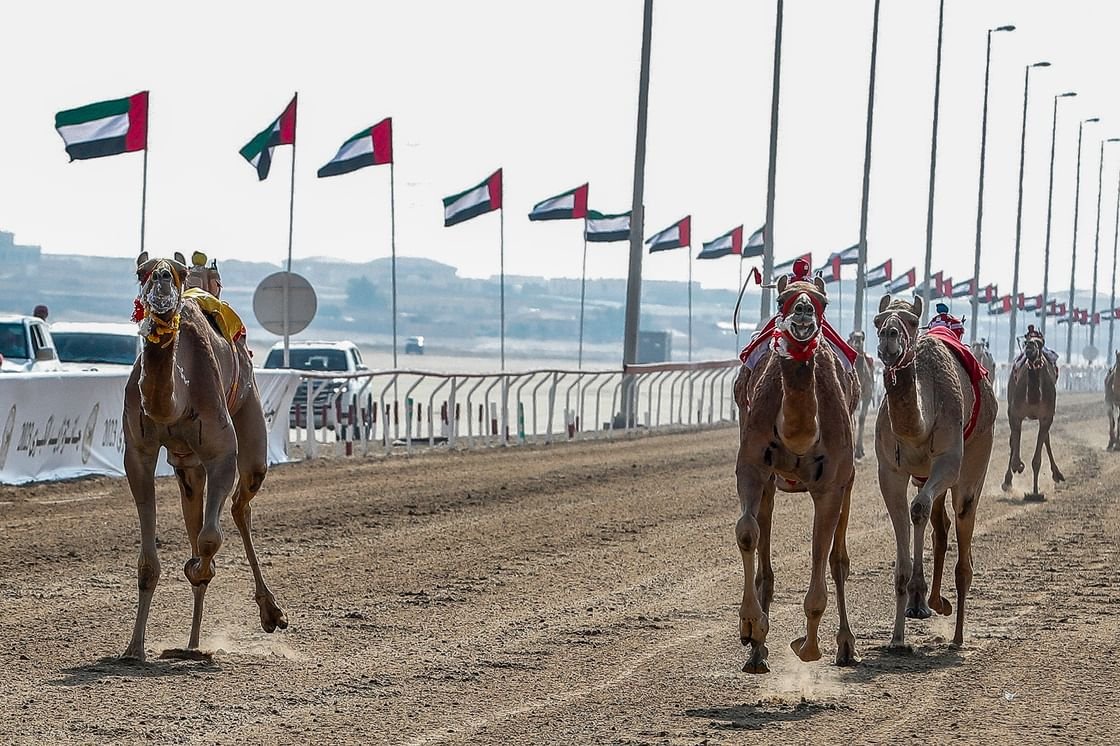 برعاية رئيس الدولة.. منافسات جائزة زايد الكبرى لسباقات الهجن 2024 تنطق الأثنين 1 برعاية رئيس الدولة.. منافسات جائزة زايد الكبرى لسباقات الهجن 2024 تنطق الأثنين