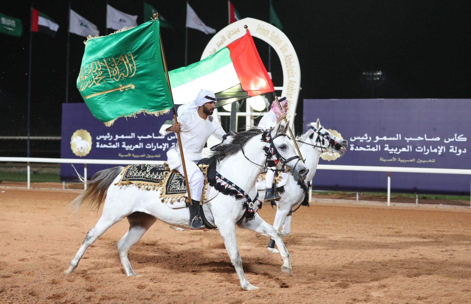 السعودية تحتضن كأس رئيس الدولة للخيول العربية غدًا 1 السعودية تحتضن كأس رئيس الدولة للخيول العربية غدًا