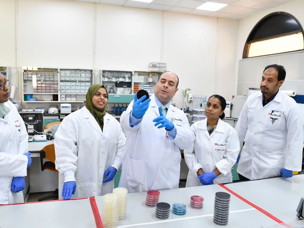 دراسة بحثية في جامعة الإمارات حول تعزيز السلامة الغذائية في لحوم الدواجن 1 دراسة بحثية في جامعة الإمارات حول تعزيز السلامة الغذائية في لحوم الدواجن