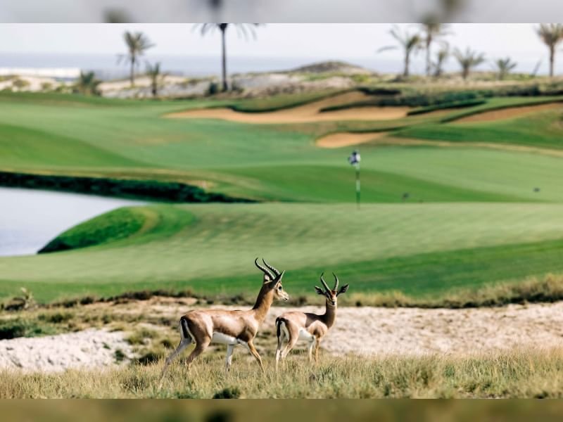 السياحة الخضراء في الإمارات.. جمال الطبيعة تحت مظلة الاستدامة 1 السياحة الخضراء في الإمارات.. جمال الطبيعة تحت مظلة الاستدامة