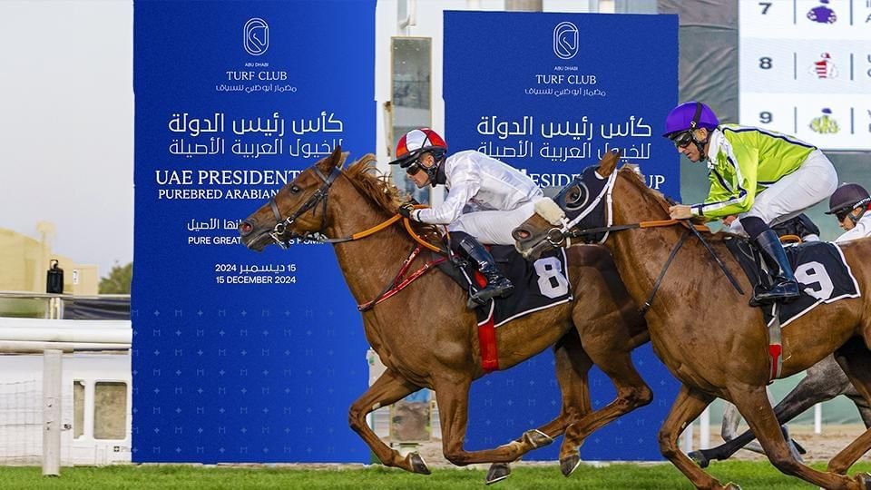 سباق كأس رئيس الدولة للخيول العربية ينطلق غداً في أبوظبي 1 سباق كأس رئيس الدولة للخيول العربية ينطلق غداً في أبوظبي