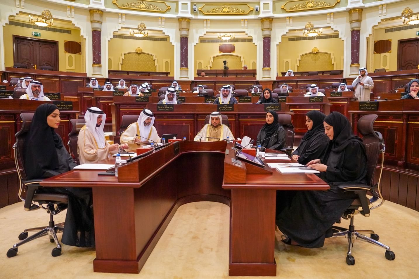 استشاري الشارقة يجيز موازنة حكومة الشارقة لعام 2025 1 استشاري الشارقة يجيز موازنة حكومة الشارقة لعام 2025