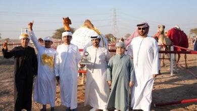 منافسات قوية في مهرجان محمد بن زايد لسباقات الهجن ومزاينة الإبل