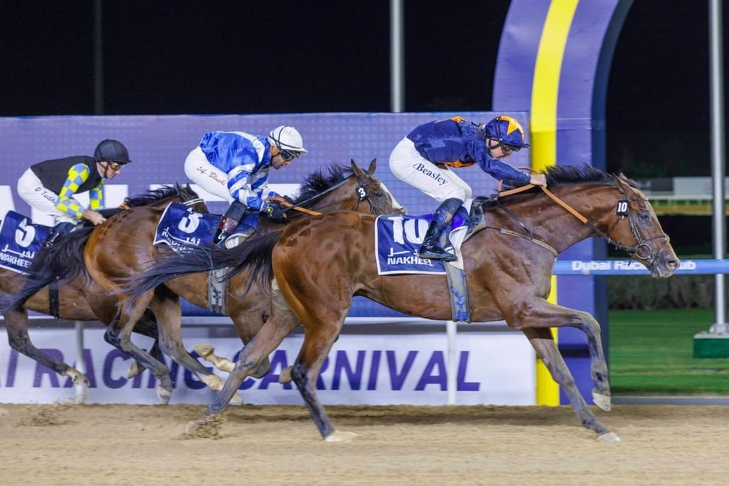 "دبي لسباق الخيل" يتلقى 300 طلب للمشاركة في سباقاته 1 "دبي لسباق الخيل" يتلقى 300 طلب للمشاركة في سباقاته