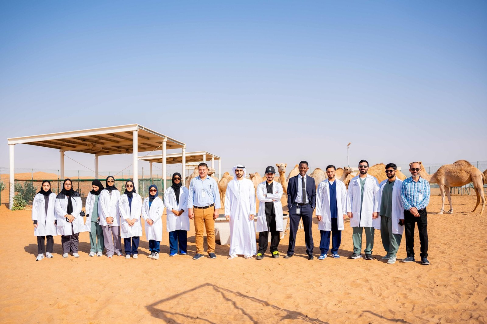 مخيم "أطباء المستقبل" يطور مهارات الشباب في المجال البيطري 1 مخيم "أطباء المستقبل" يطور مهارات الشباب في المجال البيطري