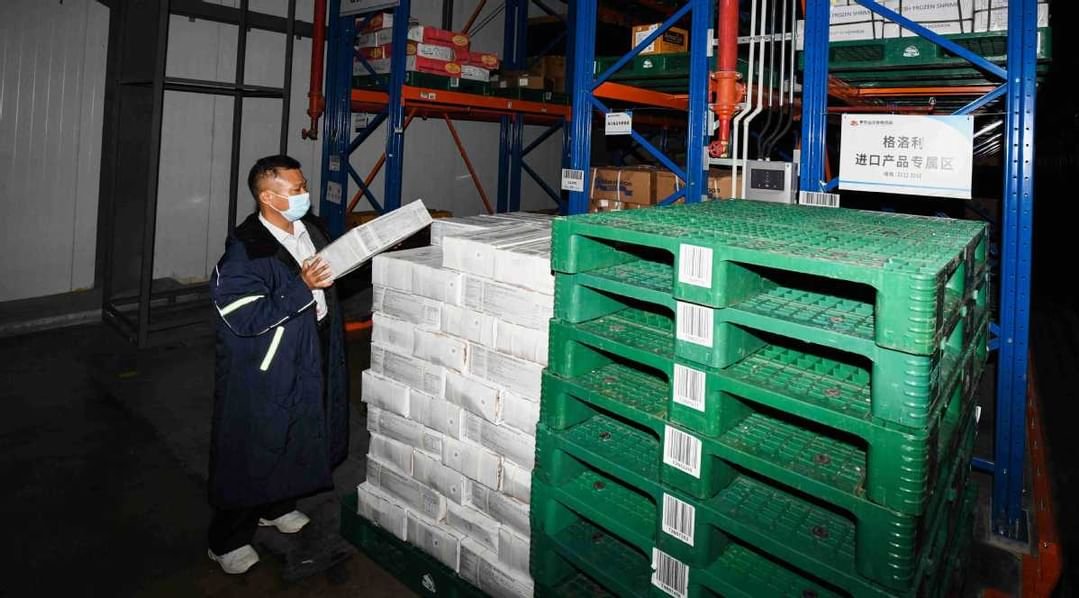 نمو لوجستيات سلسلة التبريد في الصين 4.3% خلال 2024 1 نمو لوجستيات سلسلة التبريد في الصين 4.3% خلال 2024