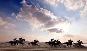 غدًا.. انطلاق سباق الخيول العربية الأصيلة في الظفرة