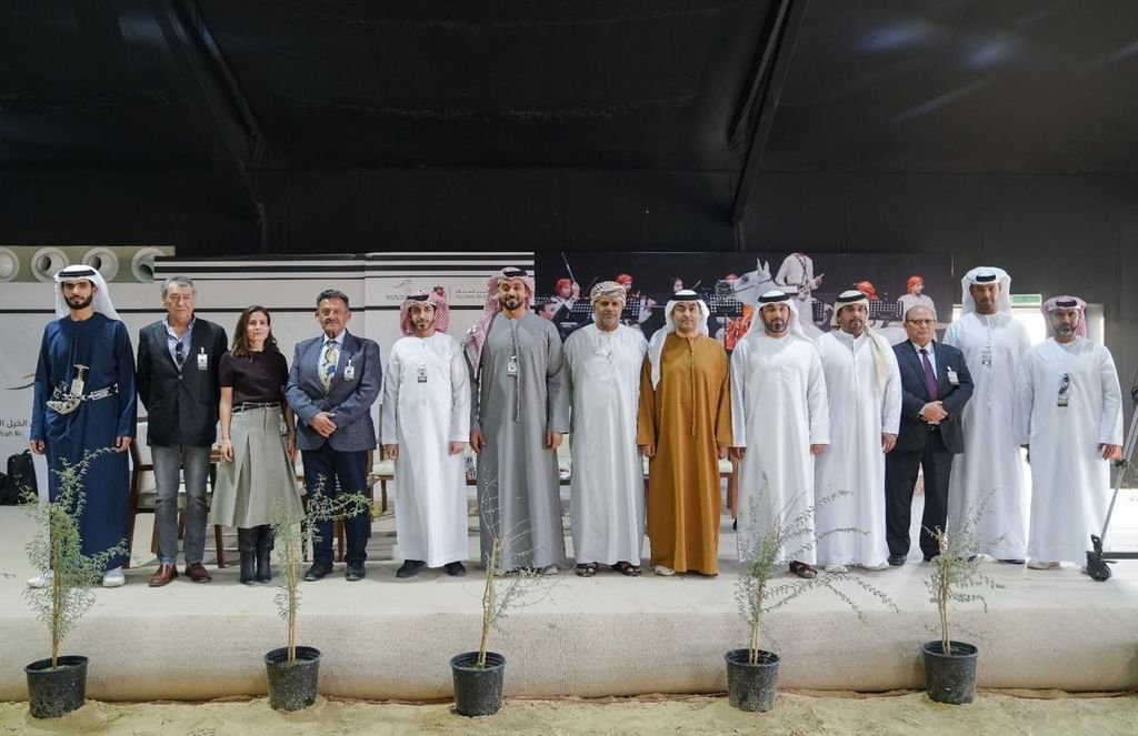 منافسات قوية في مزاينة الظفرة بمشاركة 100 خيل 1 منافسات قوية في مزاينة الظفرة بمشاركة 100 خيل