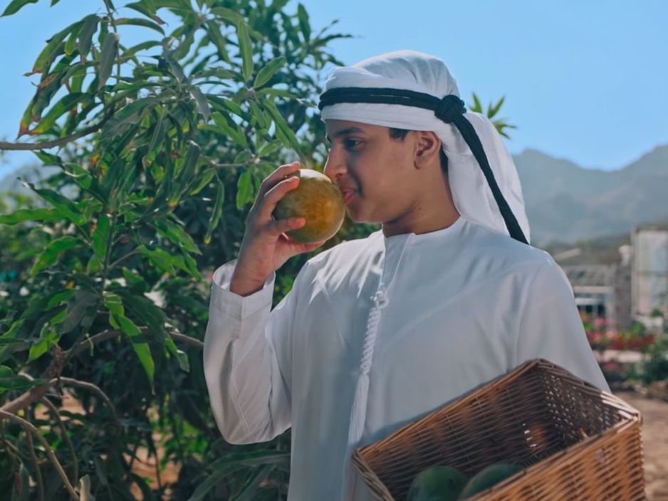 بلدية دبي تُطلق النسخة الثانية من مهرجان حتّا الزراعي 1 بلدية دبي تُطلق النسخة الثانية من مهرجان حتّا الزراعي