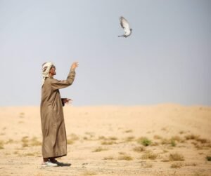 750 طيرًا في الأشواط التأهيلية لبطولة فزاع للهدد 2 750 طيرًا في الأشواط التأهيلية لبطولة فزاع للهدد