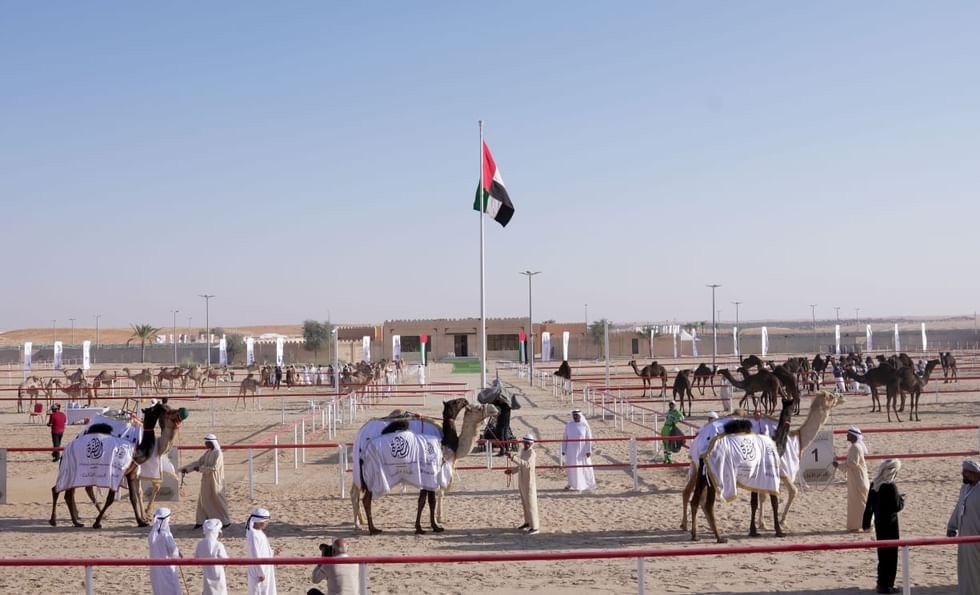 تتويج الفائزين بمزاينة مهرجان الظفرة الختامي 1 تتويج الفائزين بمزاينة مهرجان الظفرة الختامي