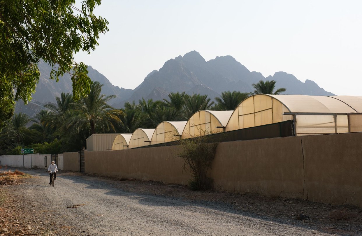 الجناح الوطني لدولة الإمارات في بينالي العمارة 2025 في البندقية يعلن عن معرض "على نار هادئة" بإشراف المعمارية والباحثة الأكاديمية الإماراتية عزه أبو علم 1 الجناح الوطني لدولة الإمارات في بينالي العمارة 2025 في البندقية يعلن عن معرض "على نار هادئة" بإشراف المعمارية والباحثة الأكاديمية الإماراتية عزه أبو علم