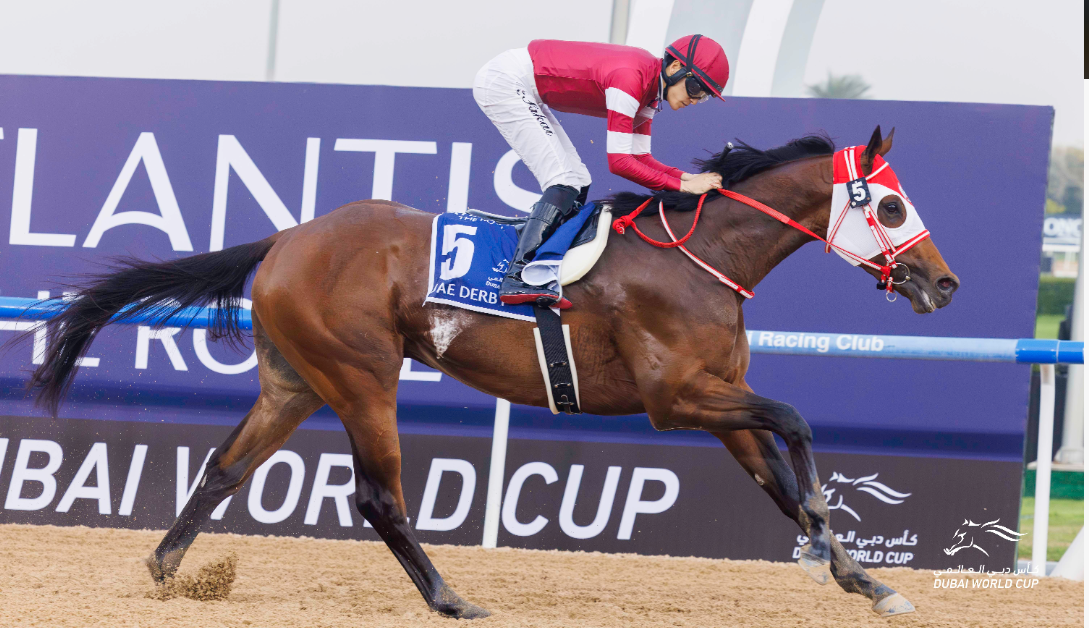 نادي دبي لسباق الخيل يعلن عن الخيول المرشحة للمشاركة في النسخة الـ29 من أمسية كأس دبي العالمي 1 نادي دبي لسباق الخيل يعلن عن الخيول المرشحة للمشاركة في النسخة الـ29 من أمسية كأس دبي العالمي