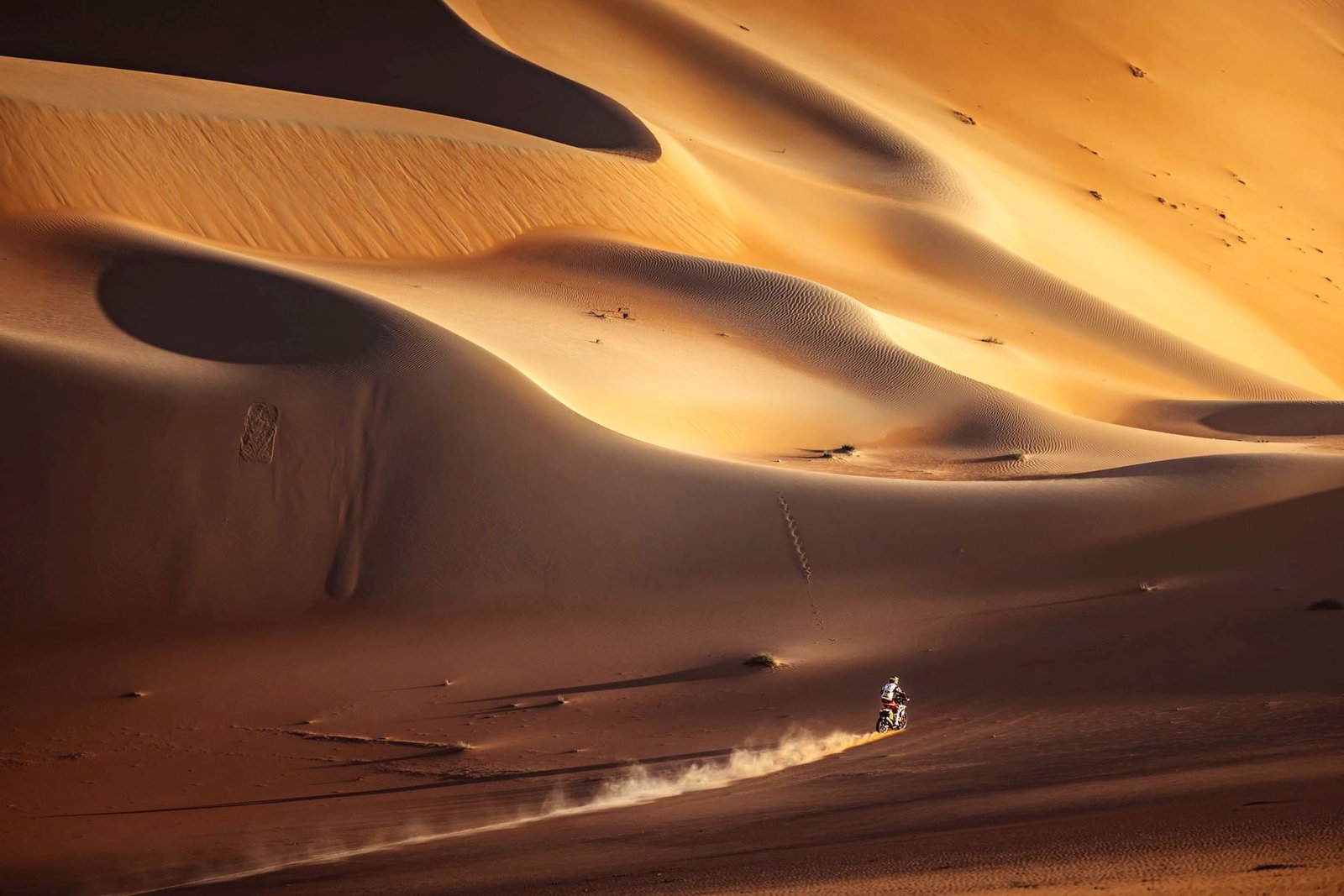 "رالي أبوظبي الصحراوي" يستقبل السيارات للمرة الأولى في نسخته الـ34