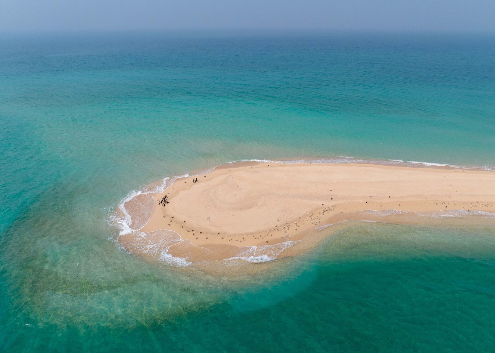 إدراج محمية جزيرة صير بونعير في القائمة العالمية الخضراء للمناطق المحمية 1 إدراج محمية جزيرة صير بونعير في القائمة العالمية الخضراء للمناطق المحمية