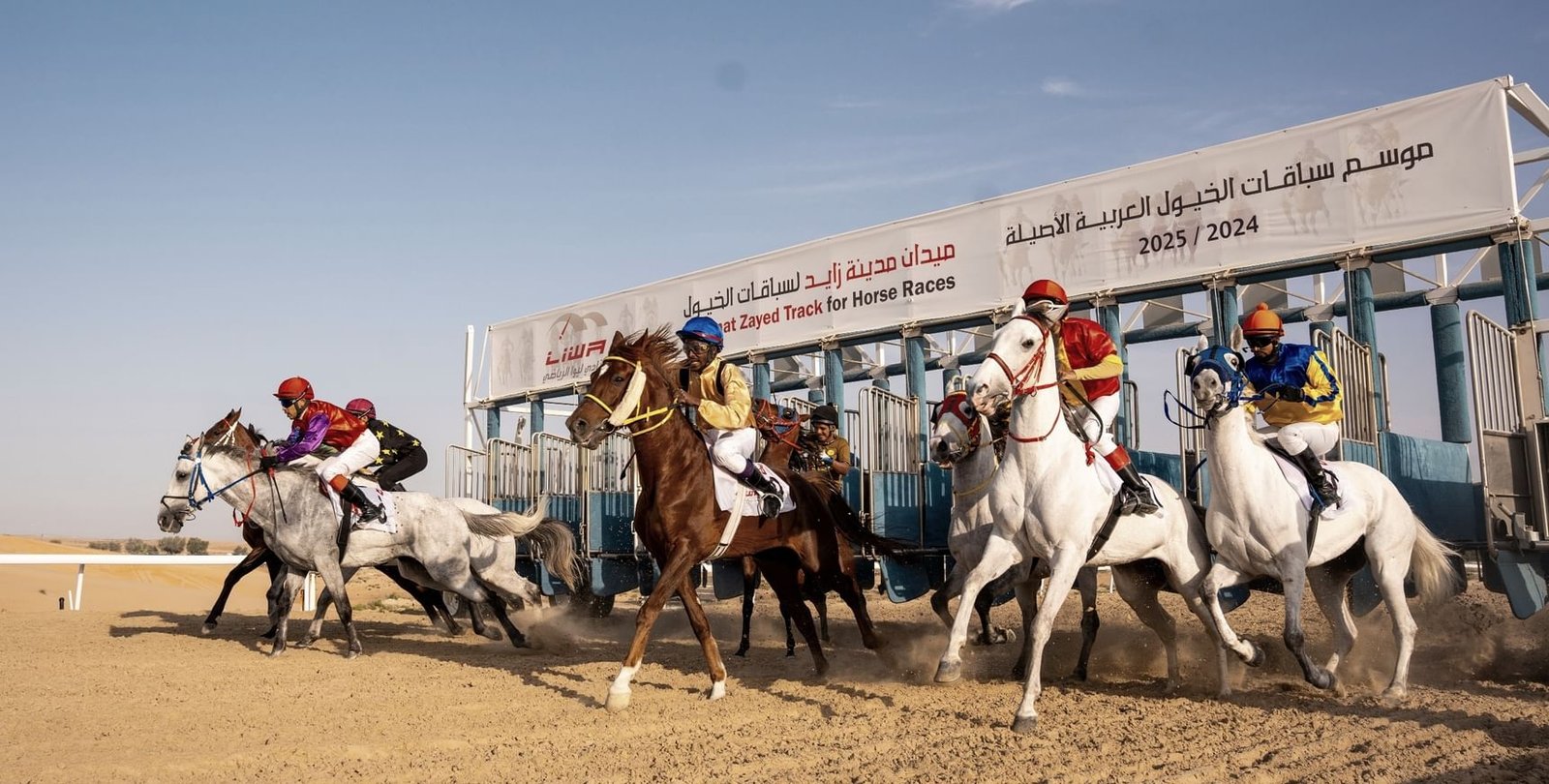 "سفير الثاني" و"الظفرة" بطلا السباق الثامن للخيول العربية في مدينة زايد 1 "سفير الثاني" و"الظفرة" بطلا السباق الثامن للخيول العربية في مدينة زايد